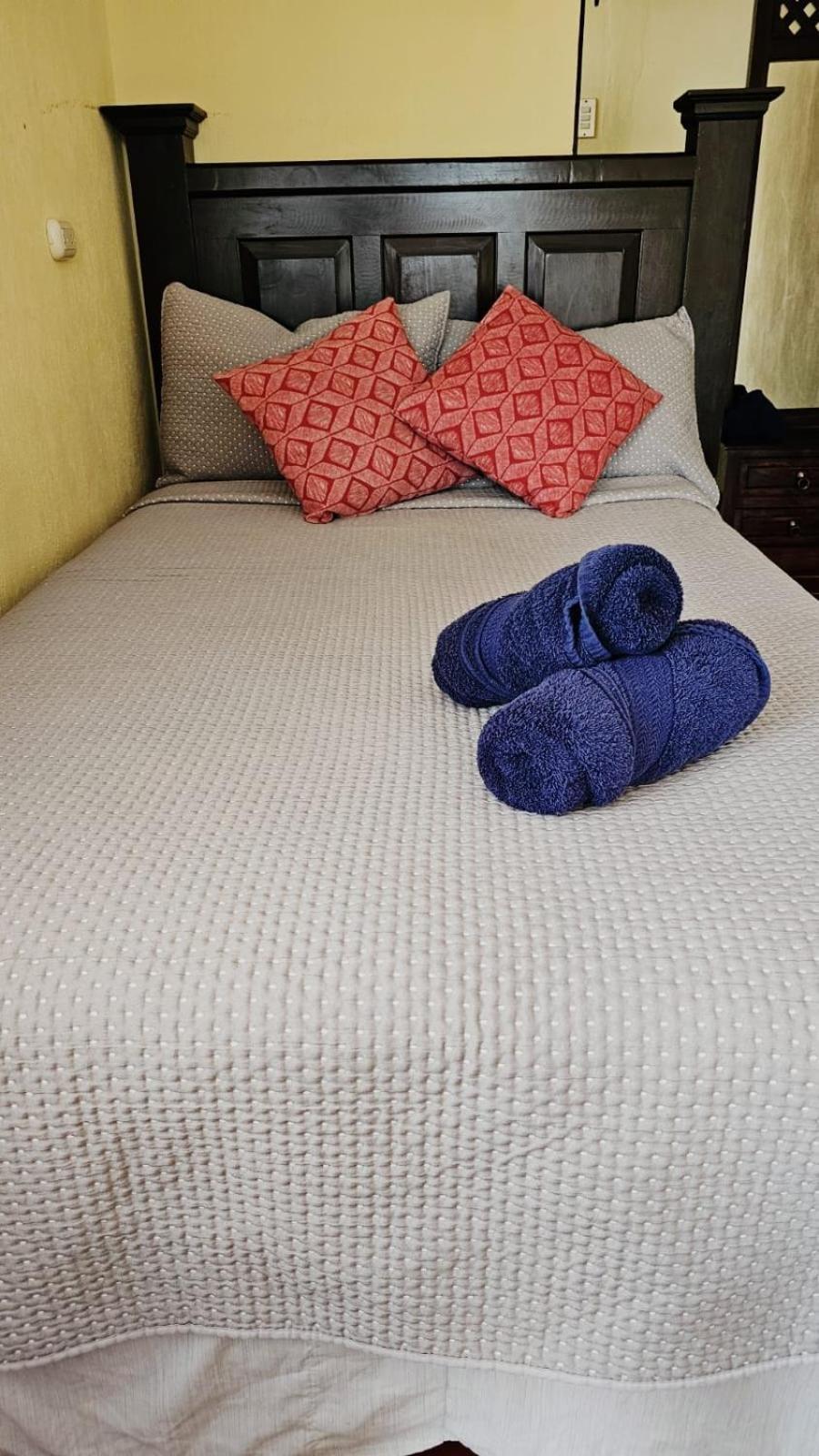 One Day Trip Hostel Антигуа-Гватемала Экстерьер фото